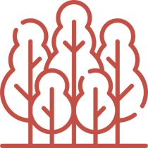 Trees & Vegetation