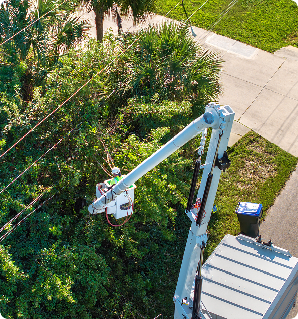Man in a bucket truck working on a power line, surrounded by trees, plants, grass, and a road