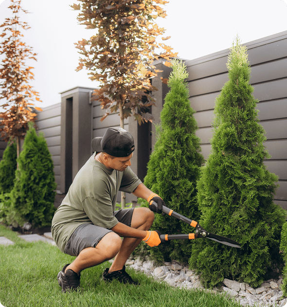 Man wearing a cap and gloves, using a hedge trimmer to trim a tree in a grassy area