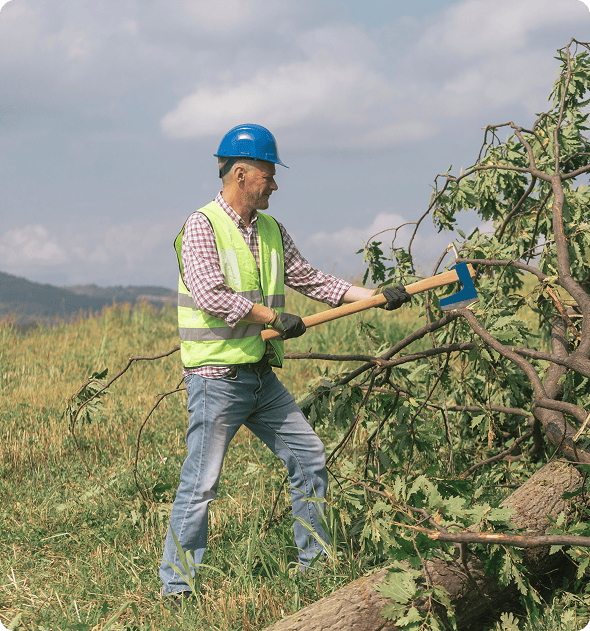 Man wearing a hard hat and safety vest, holding an ax and cutting down a tree with it