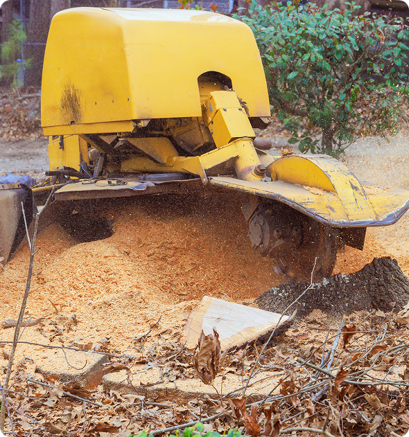 Yellow machine sitting on top of a pile of wood, surrounded by dried leaves, wooden pieces, and plants